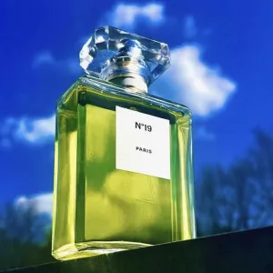 عطر كولونيا أو دو برفوم الأصلي عالي الجودة رقم 19 للنساء برائحة الليمون والخزامى والورد في زجاجة رذاذ زجاجية High Quality Original No.19 Eau De Parfum Cologne Women's Fragrance with Lemon Lavender Rose Aromas in Glass Mist Bottle