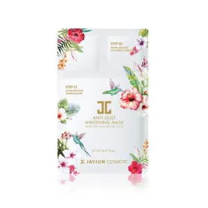 Anti Dust Whitening Mask - 1 Box of 10 Sheets