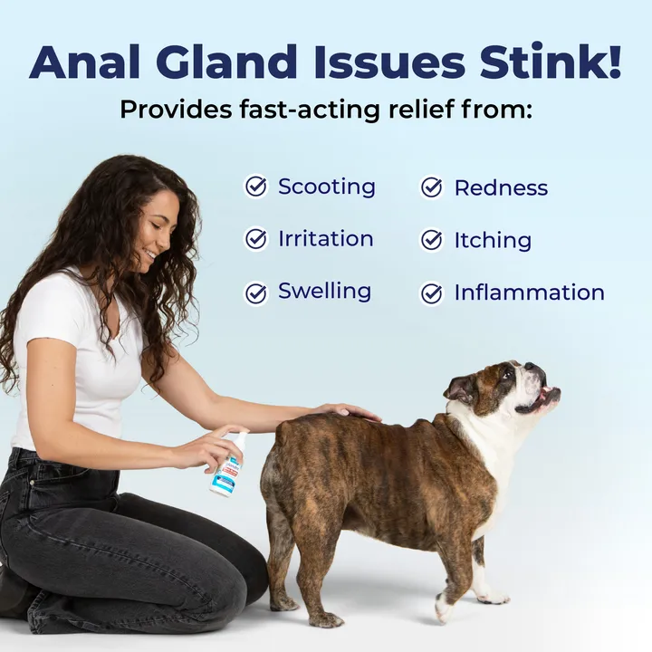 Glandex® Medicated Anal Gland Spray