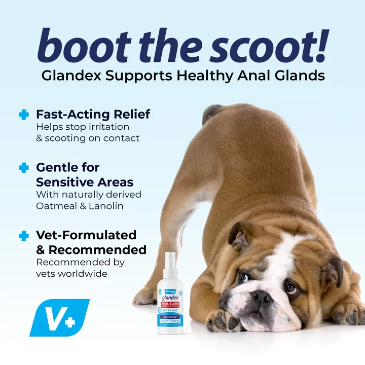 Glandex® Medicated Anal Gland Spray