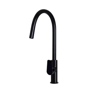 Meir Paddle Round Pull Out Kitchen Sink Mixer Tap Matte Black
