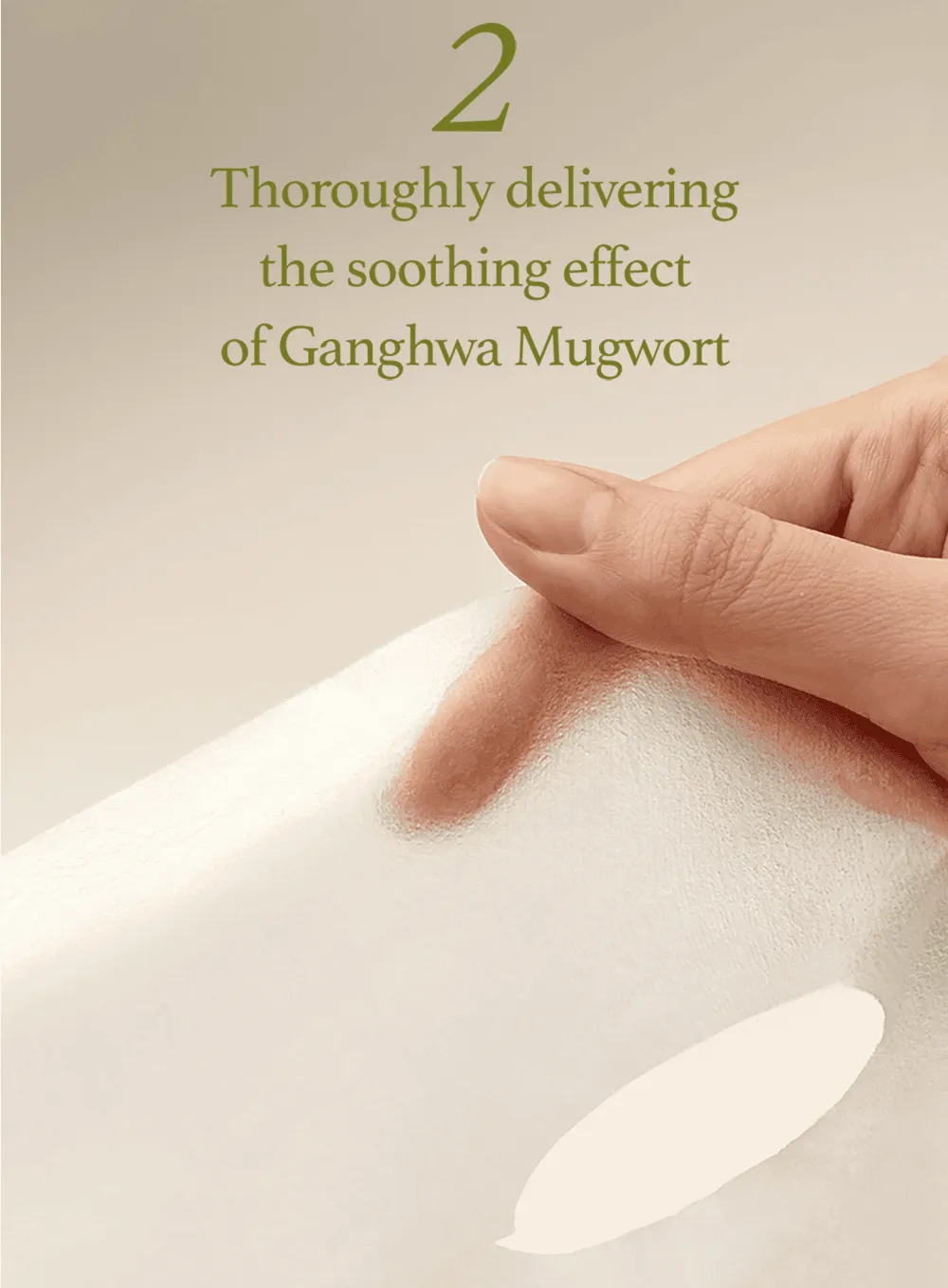 Mugwort Sheet Mask (23ml / 5ea)