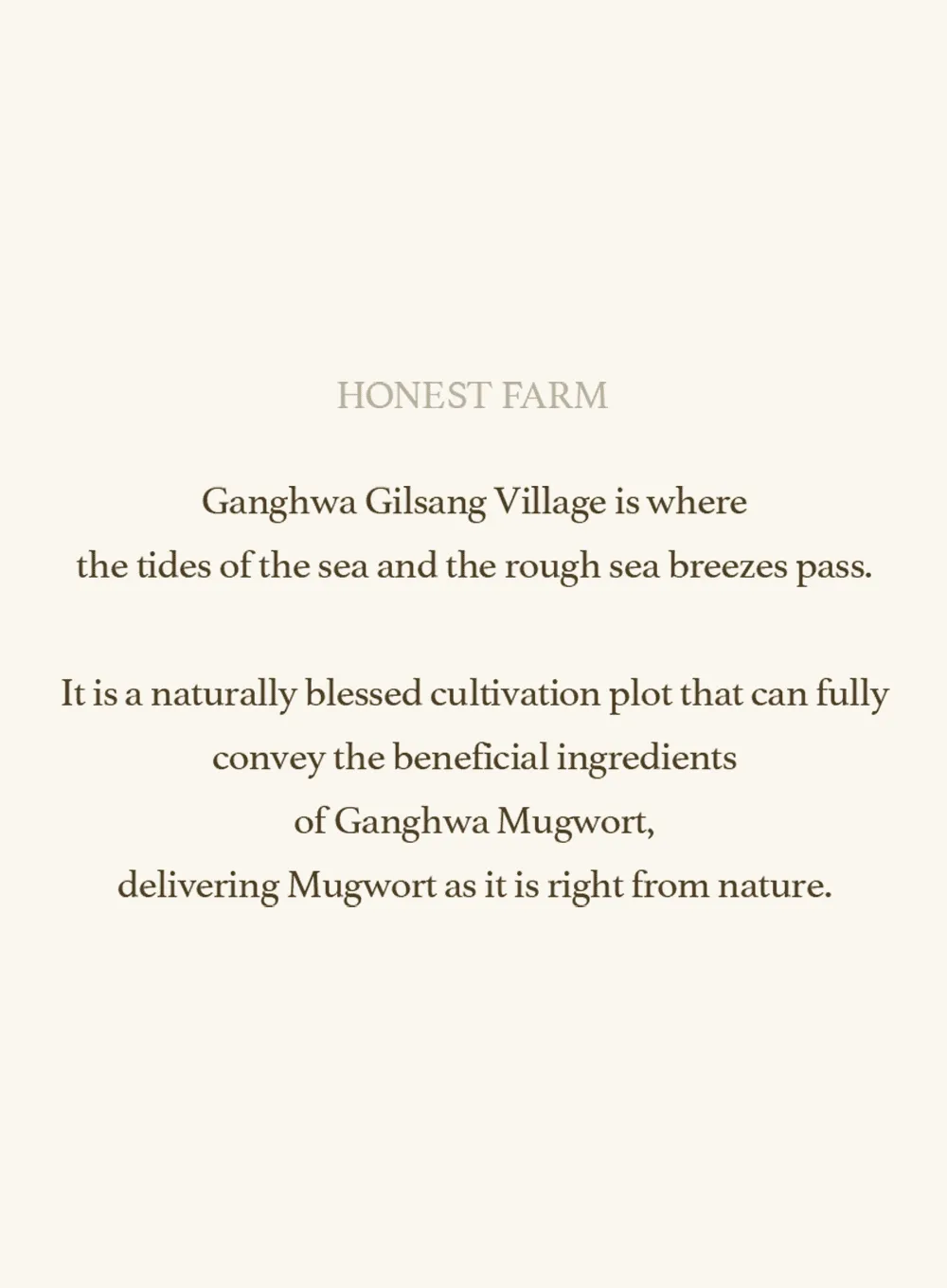 Mugwort Sheet Mask (23ml / 5ea)