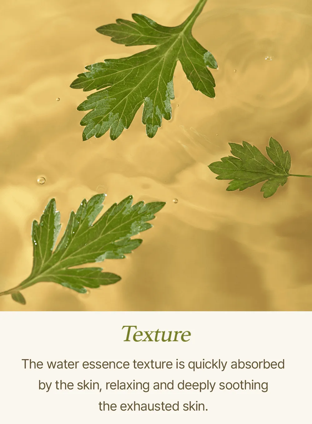Mugwort Sheet Mask (23ml / 5ea)