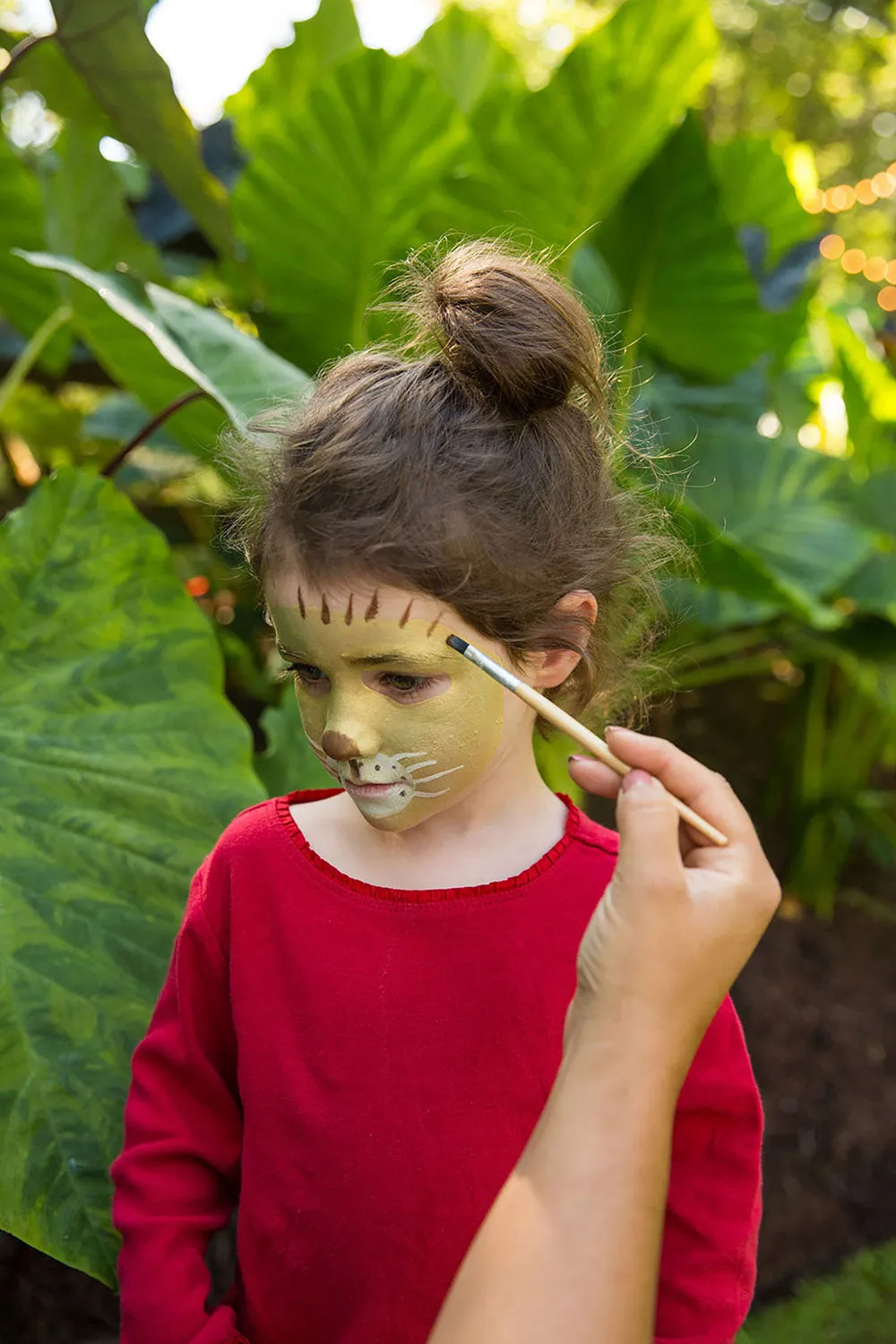 Namaki Natural Face Paint Kit - 6 Colours - Wild Life