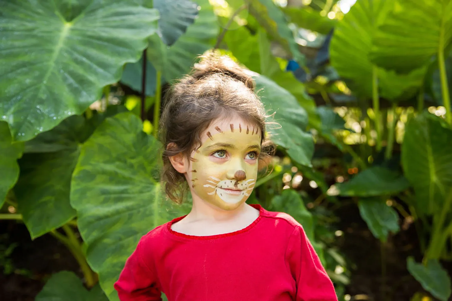 Namaki Natural Face Paint Kit - 6 Colours - Wild Life