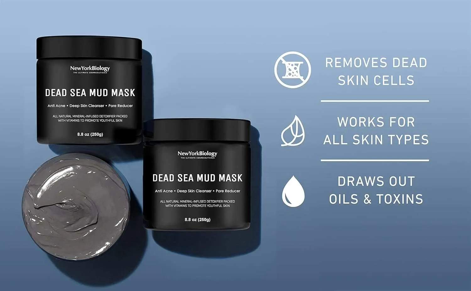 New York Biology Dead Sea Mud Mask 8.8 Oz
