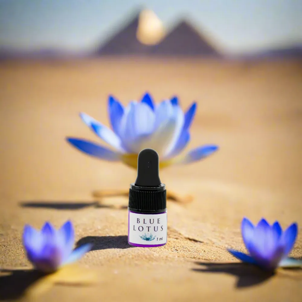 Organic Egyptian Blue Lotus Oil