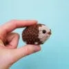 Starter Hedgehog Knit Kit