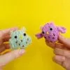 Starter Owl Knit Kit